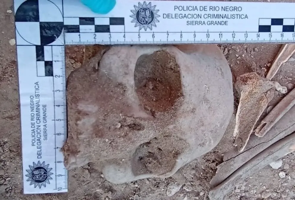 Estaban haciendo una pileta y encontraron restos óseos en Playas Doradas