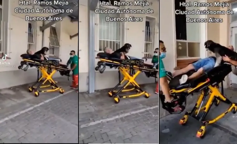VIDEO: Un perro acompañó a su dueño cuando era ingresado en camilla al Hospital