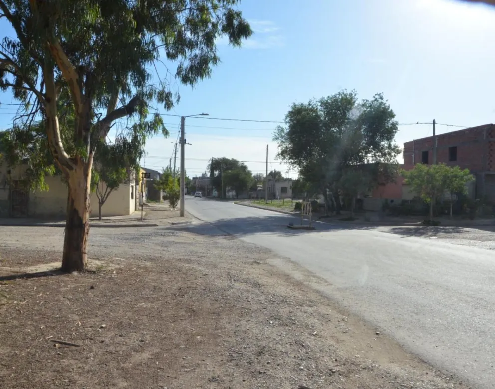 Preocupa la aparición de perros muertos en barrios de Carmen de Patagones 