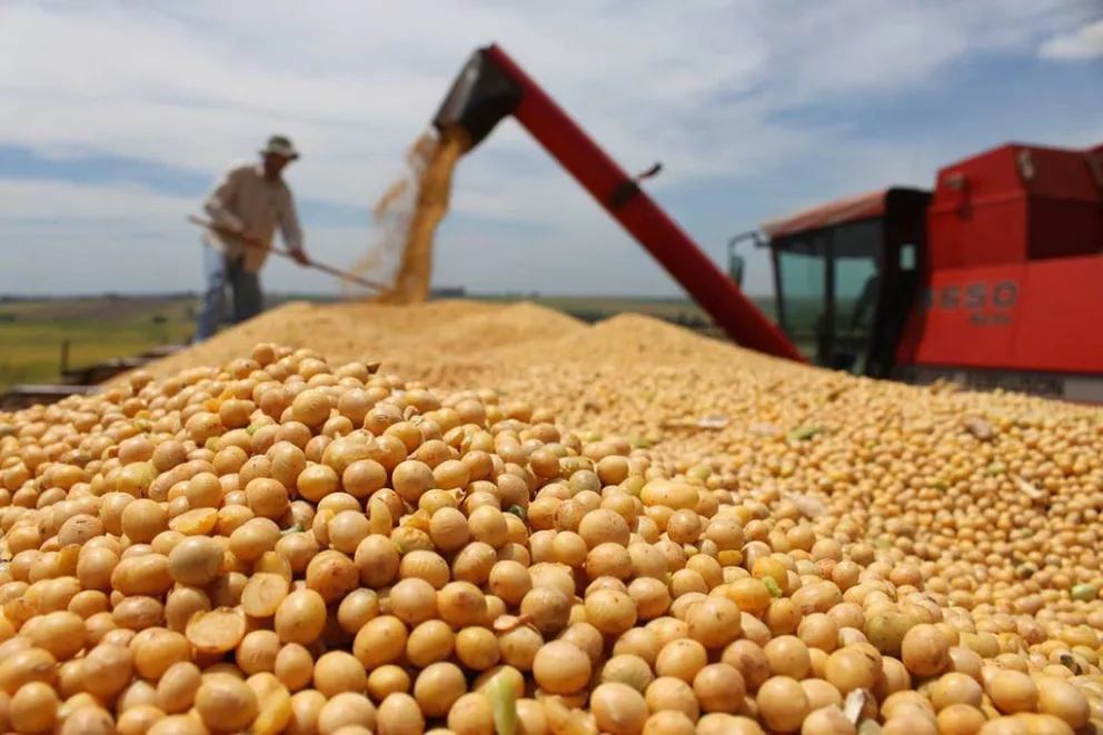El Gobierno Nacional anunció que cierra las exportaciones de harina y aceite de soja “hasta nuevo aviso”