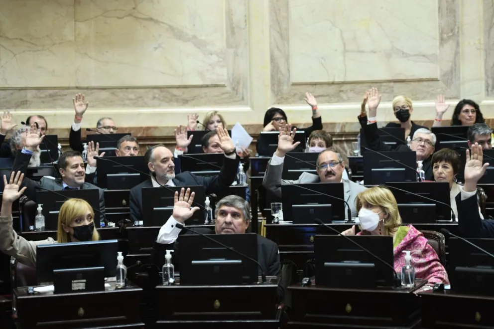 FMI: ¿Cómo votarán hoy los tres senadores rionegrinos?