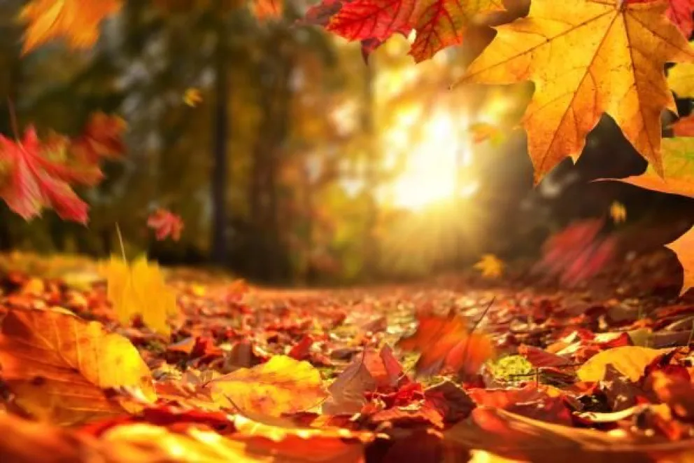 Equinoccio de otoño: estos son los rituales más populares y su significado