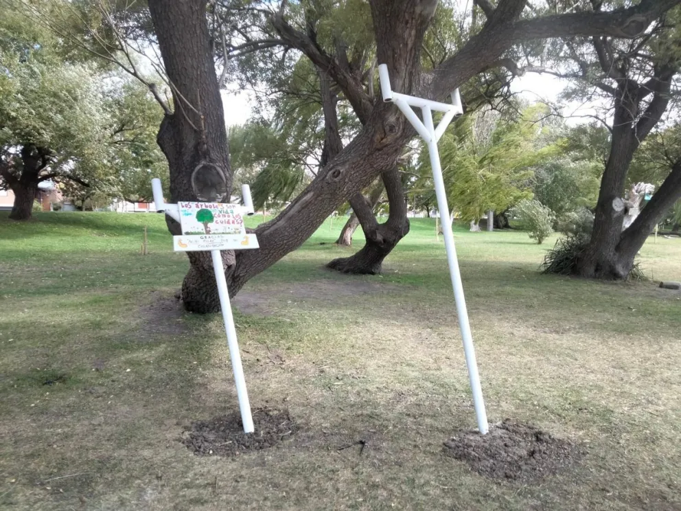 Vecinos cuidan las plantas de la costanera como si fuera el patio de su casa