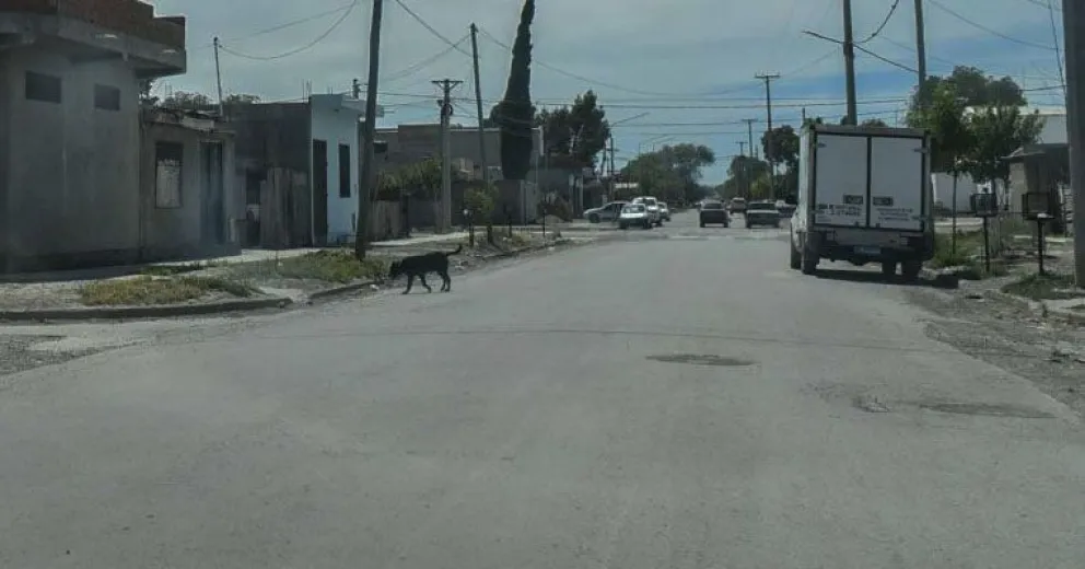 Sororidad en Viedma: “pensé en mis hijas, mis sobrinas y le dije de llevarla a su casa”