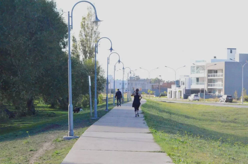 Fumigación en Viedma: cuándo es y cómo se llevará adelante el plan para combatir a los mosquitos 