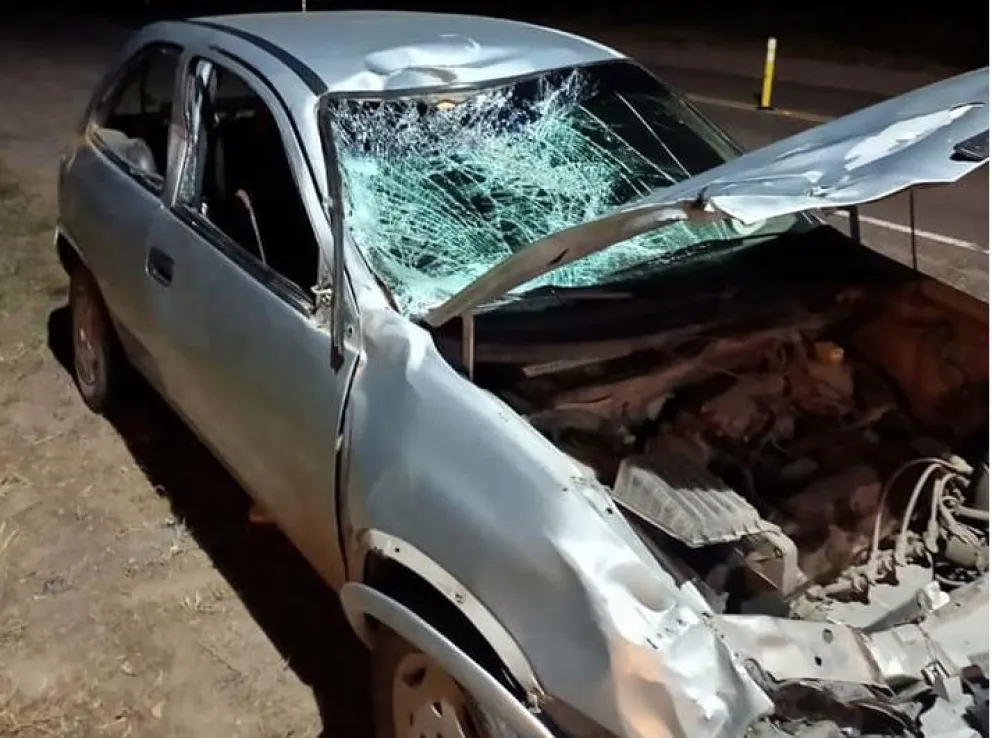 Choque con un vacuno, heridos y salvados de milagro