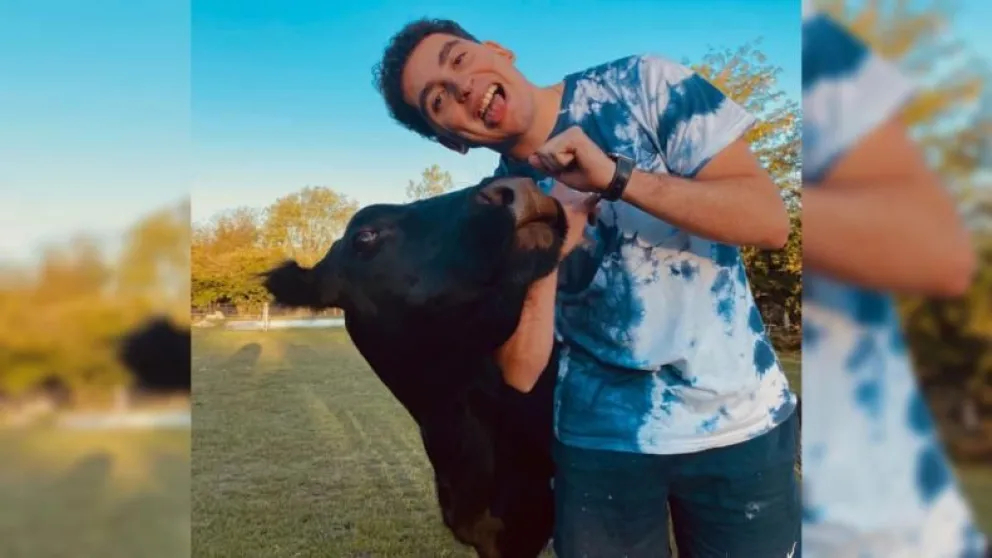 La vaca Clota: se salvó de la muerte y ahora es furor en TikTok
