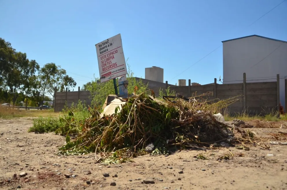 Ni los carteles ni los operativos de limpieza alcanzan para frenar a los mugrientos