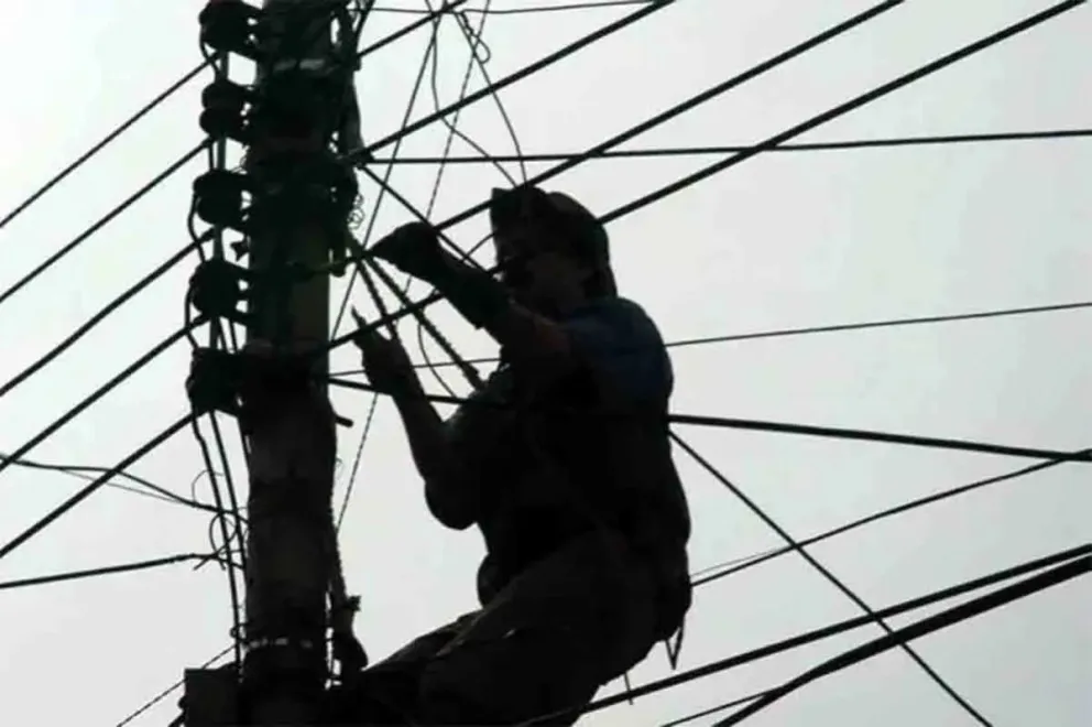 Un vivillo se colgó de la luz y le cortaron la conexión