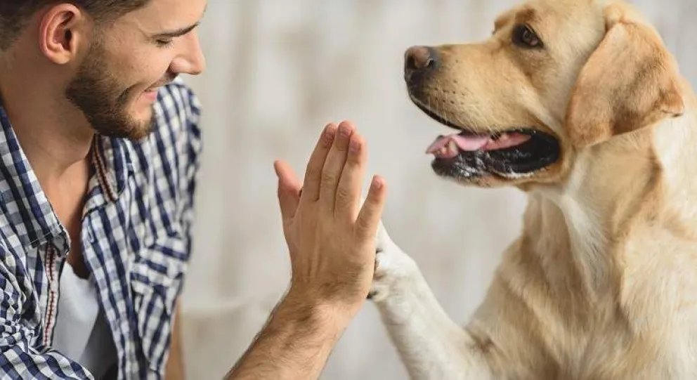 Estos son los signos del zodíaco que tienen mayor afinidad con los animales