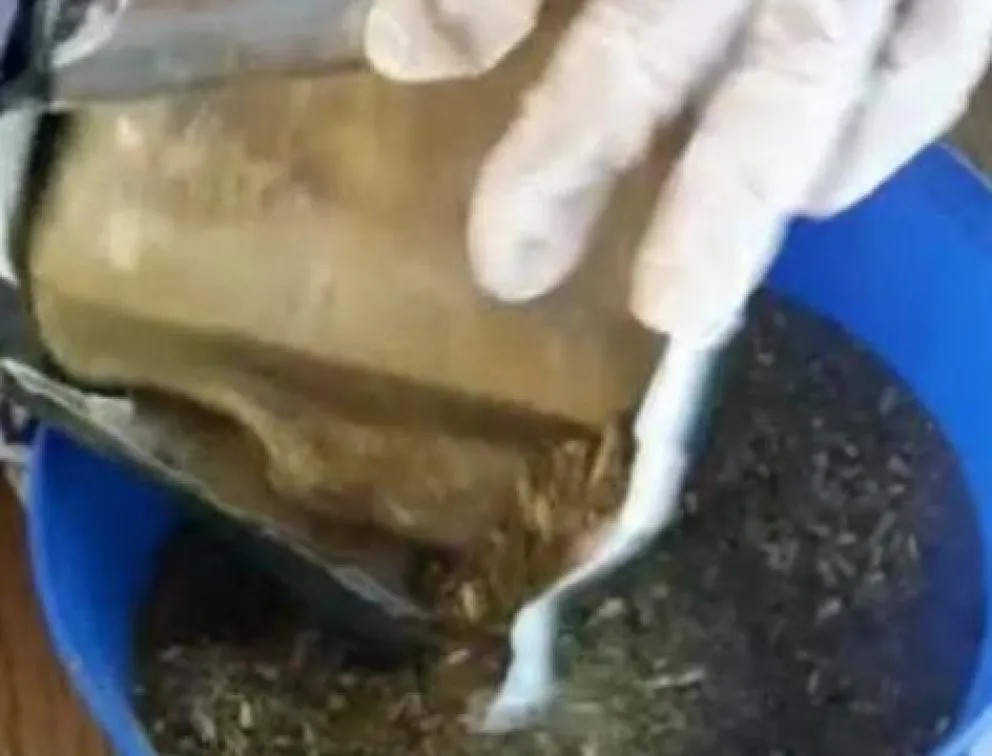 Llevaba más de medio kilo de cocaína en un paquete de yerba