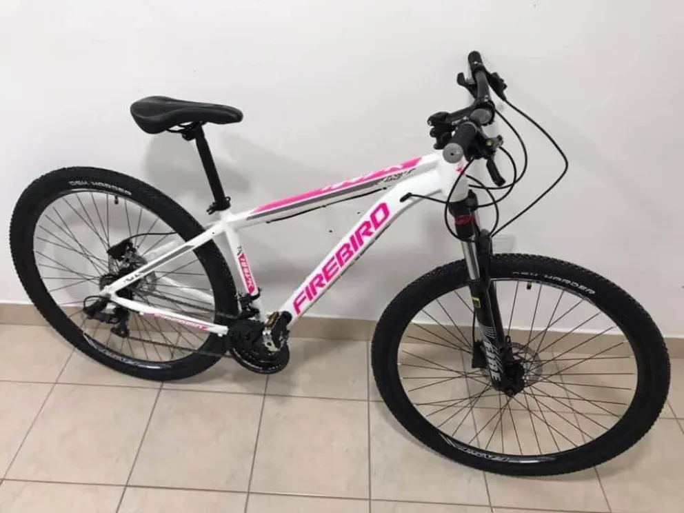 Robaron una bicicleta valuada en más de 50 mil pesos: el ladrón quedó filmado