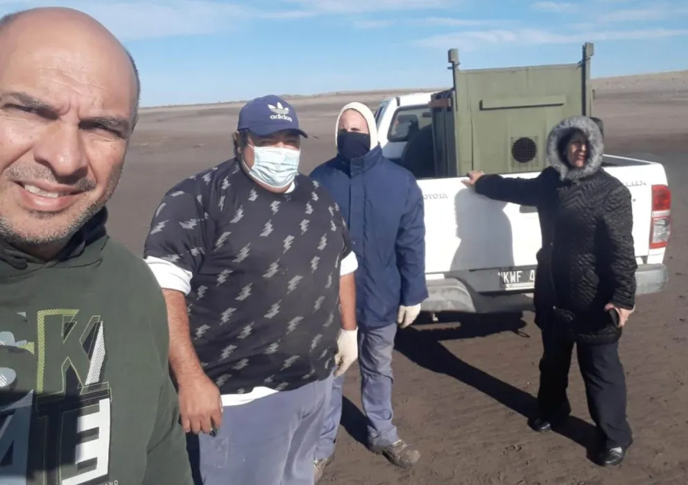 Realizan un nuevo rescate, rehabilitación y liberación de un lobo marino 