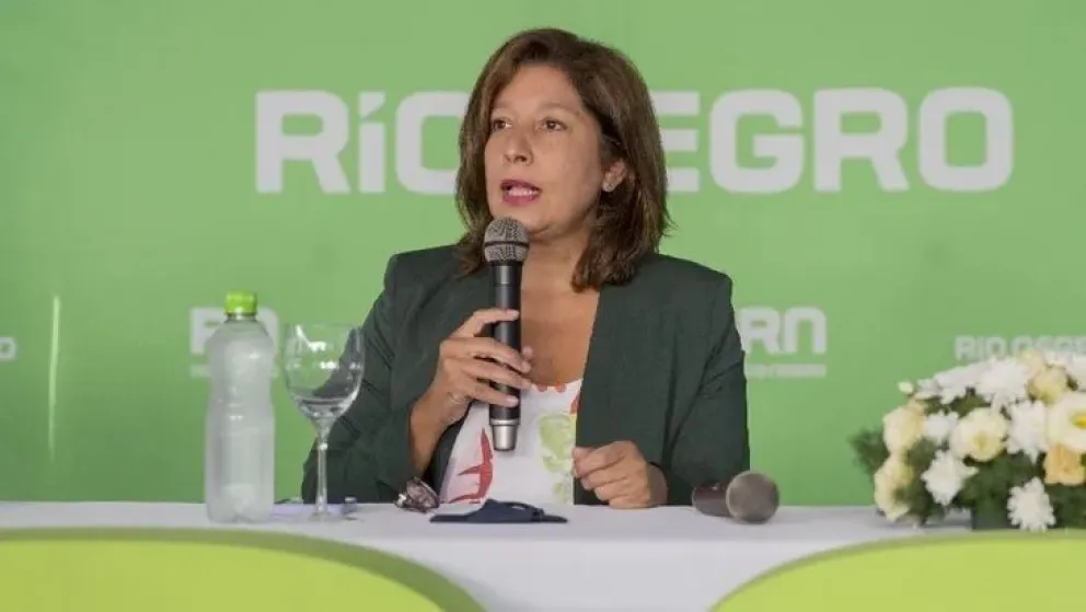 Carreras destacó el apoyo unánime de la Legislatura a los proyectos de Hidrógeno Verde