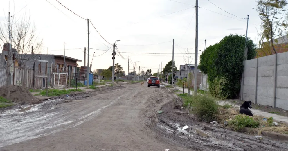 Crueldad animal extrema en Viedma: quemaron y colgaron a un perro