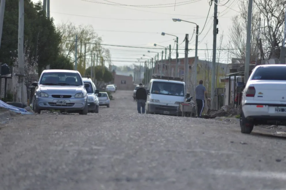 Proteccionistas trataron de dar con el perro ahorcado en base a un video, pero no lo encontraron