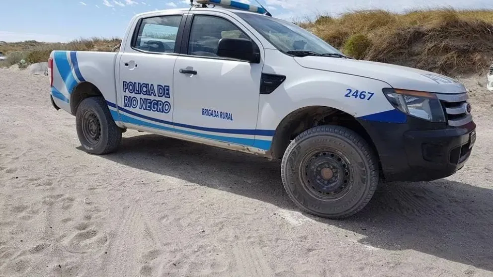 La caza de especies autóctonas está penada por ley.