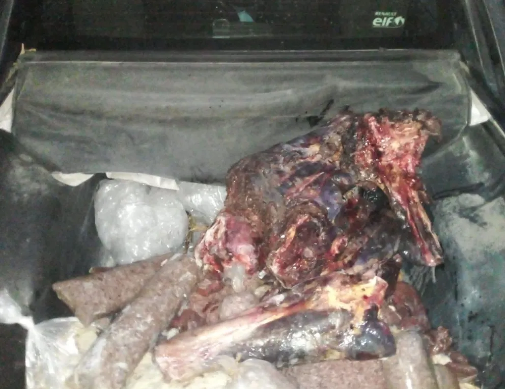 Productores, policías y fiscales buscan frenar el robo de ganado