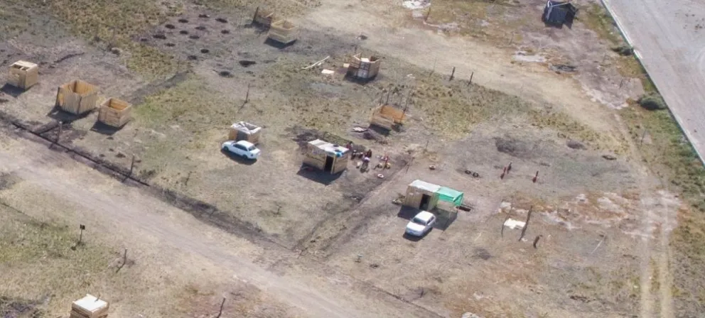 Le desfiguraron la cara a una mujer en una toma de Viedma