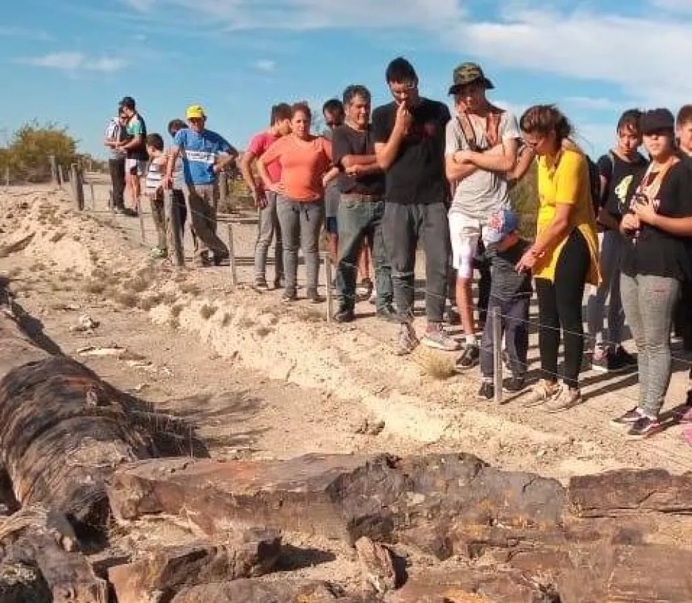 La UNRN releva el Bosque Petrificado de Valcheta para elaborar un Plan de Manejo